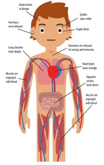 Body with Trauma labels